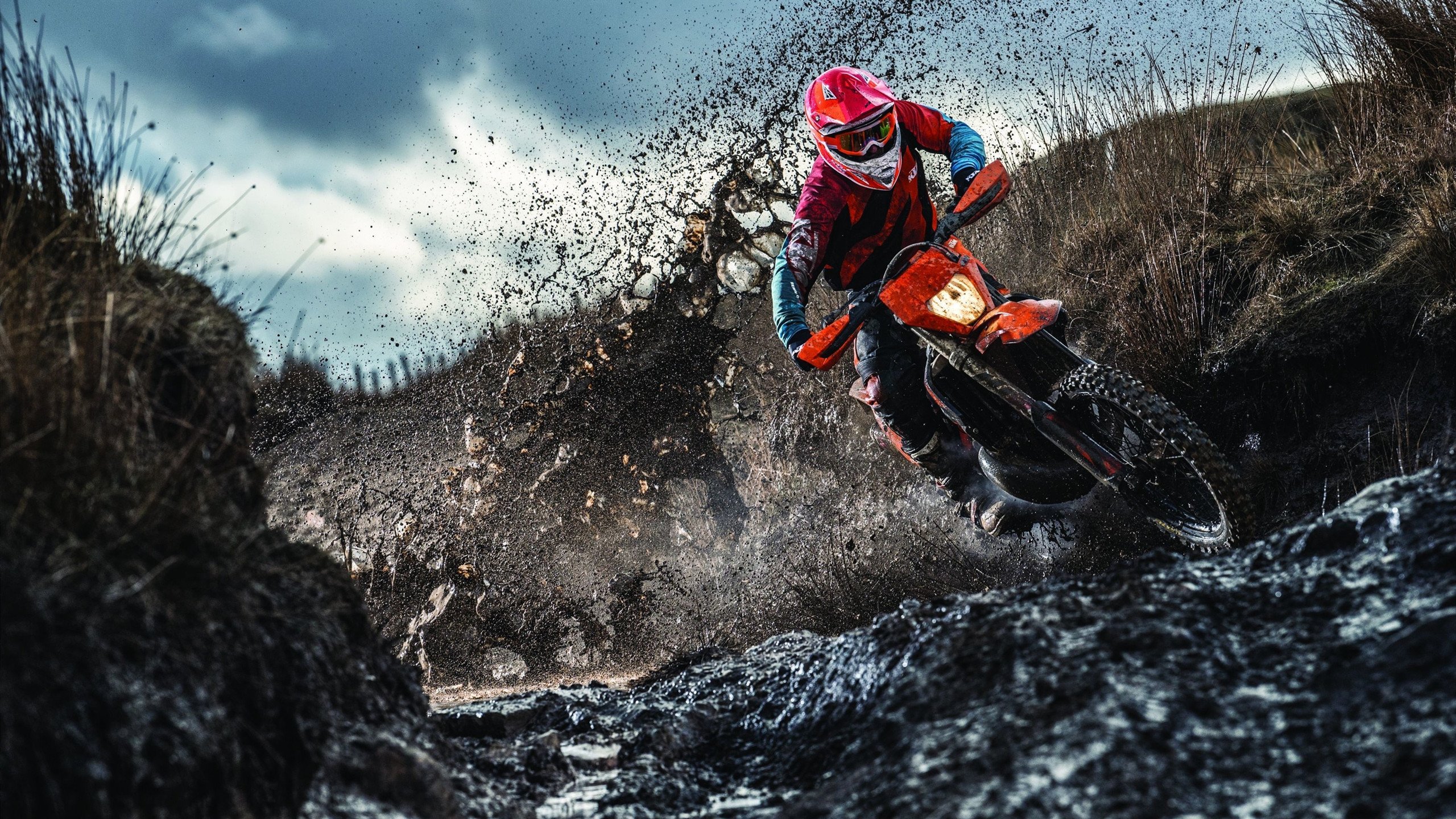 印度队主力组合稳定，胜率持续上升，印度国家队阵容