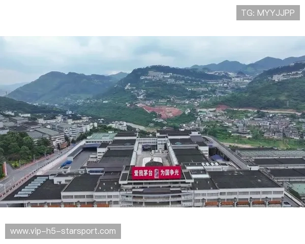 遵义通报：8亿元茅台镇厂房强接管问题调查加码，贵州省遵义市茅台镇酒厂